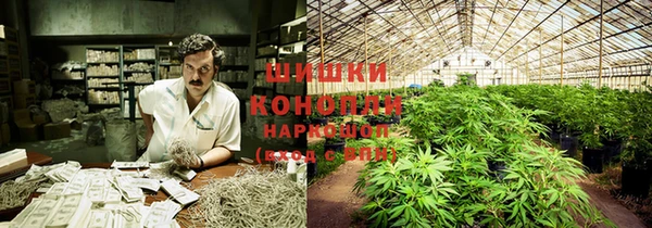эйфоретик Арсеньев